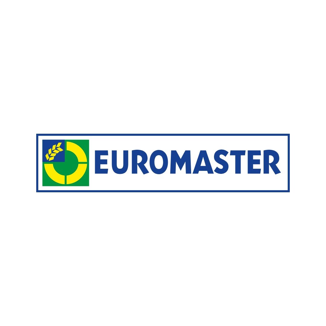 Logo EUROMASTER